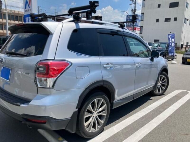 FORESTER