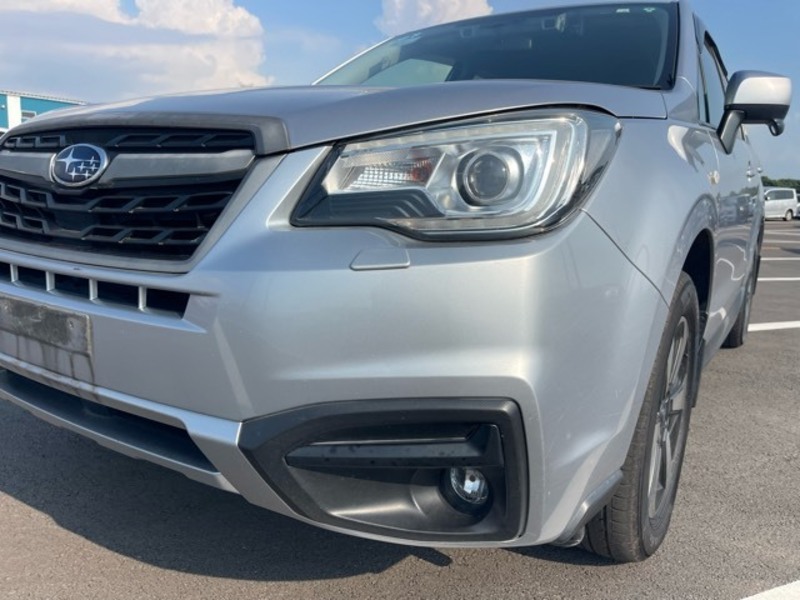 FORESTER
