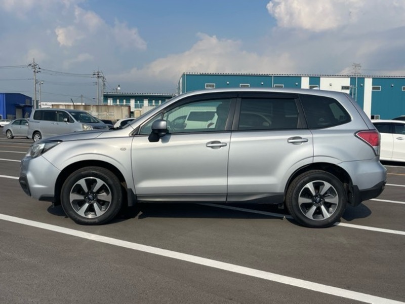 FORESTER