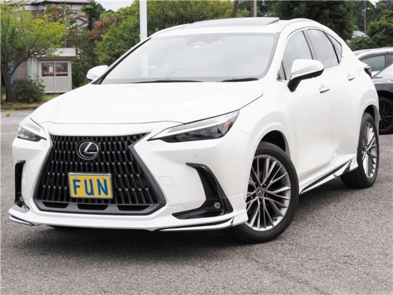 LEXUS NX