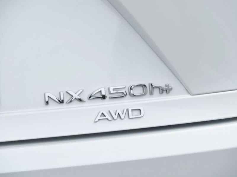 NX