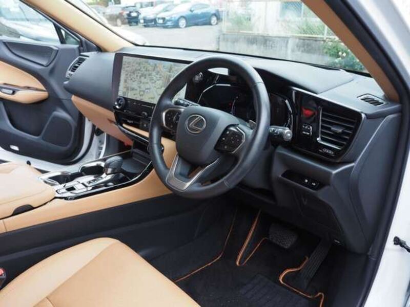 NX