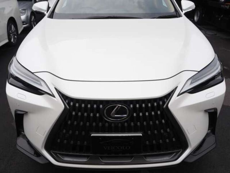 NX