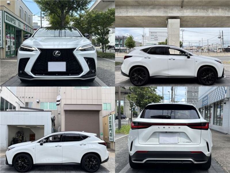 NX