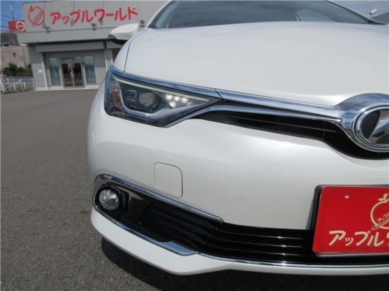 AURIS