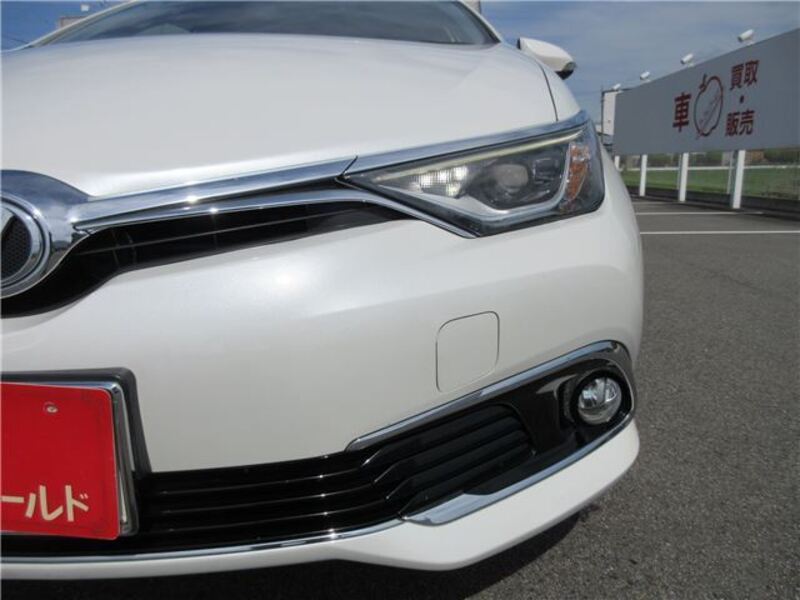 AURIS