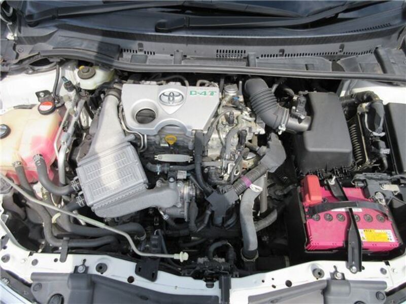 AURIS