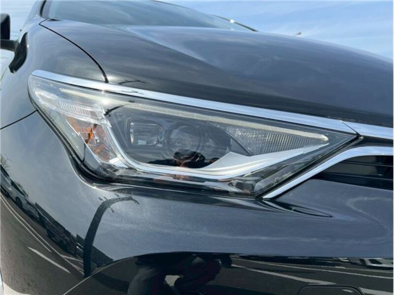 AURIS