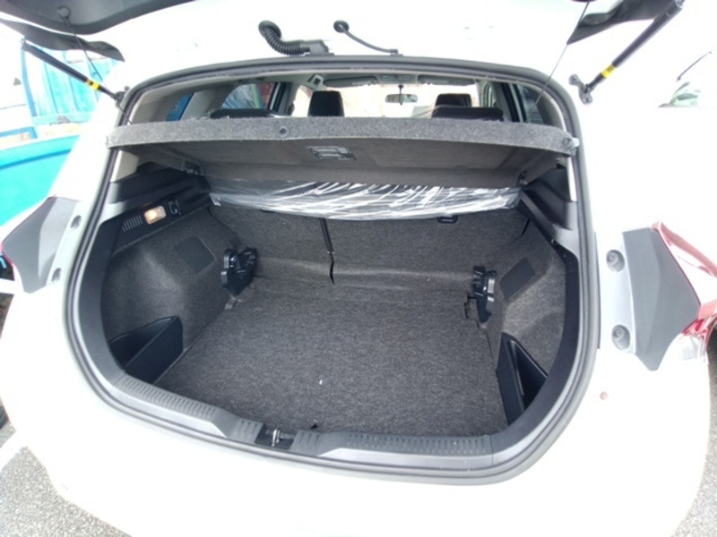 AURIS