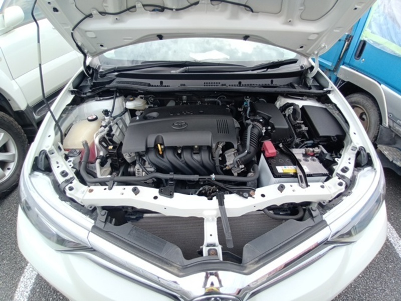 AURIS