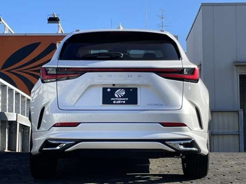 NX