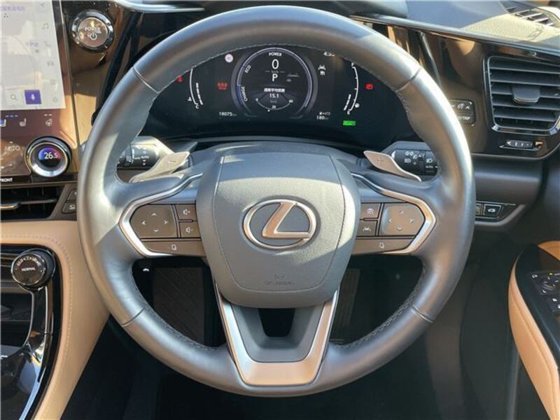 NX