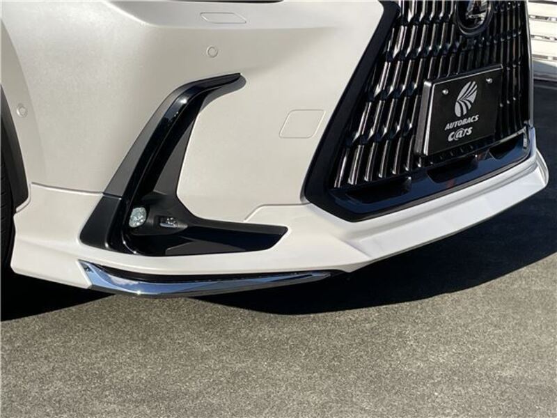 NX