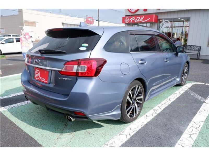 LEVORG