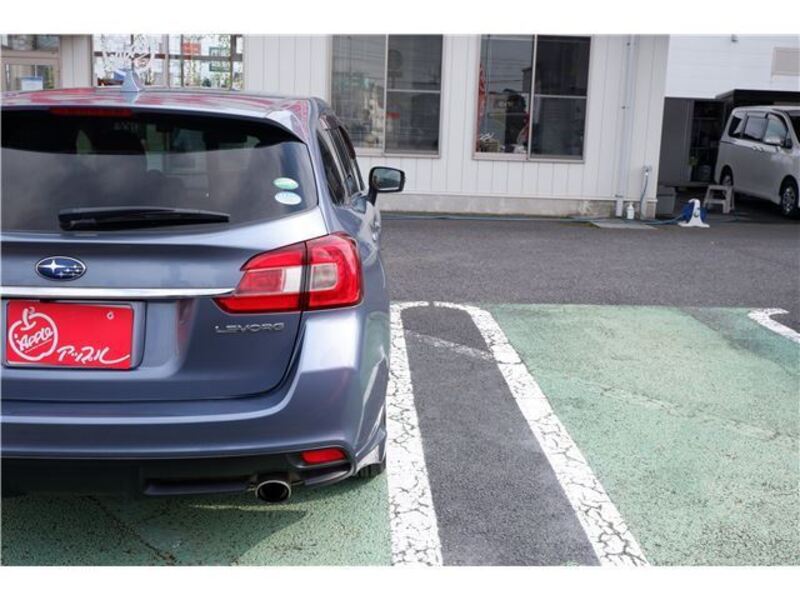 LEVORG