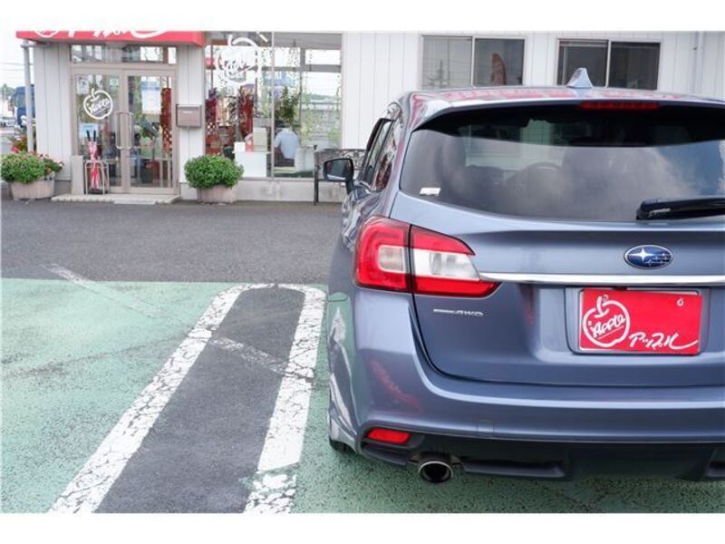 LEVORG