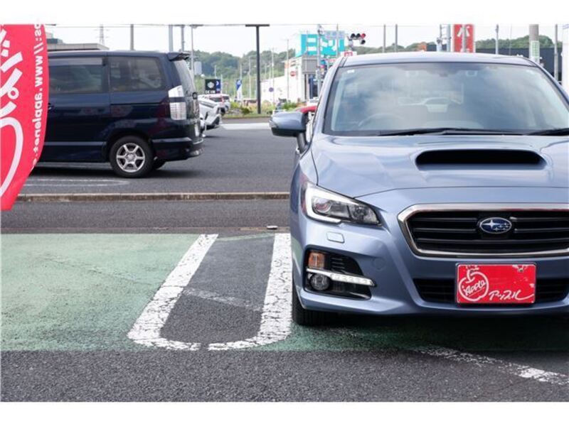 LEVORG