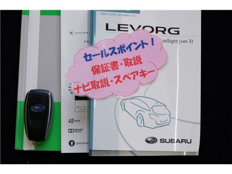 LEVORG