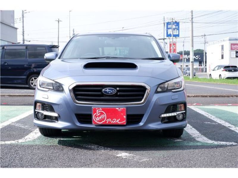 LEVORG