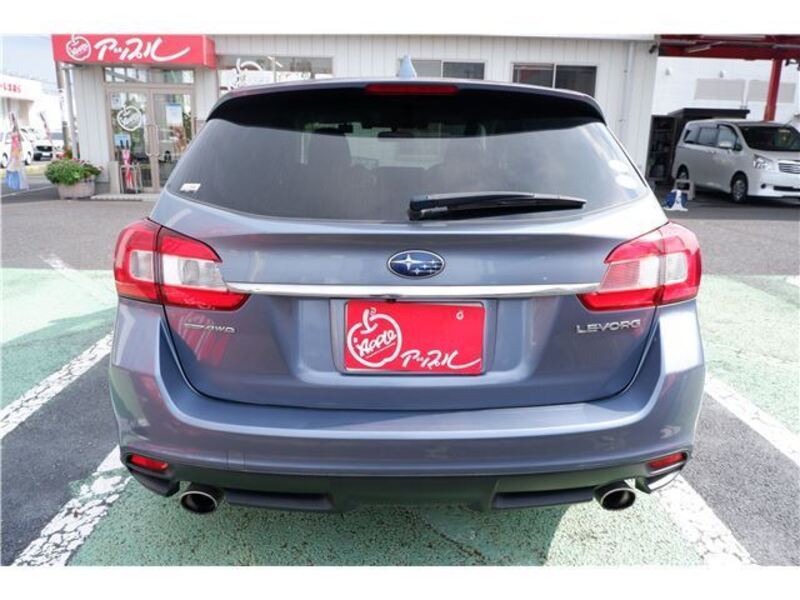 LEVORG