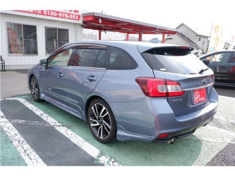 LEVORG