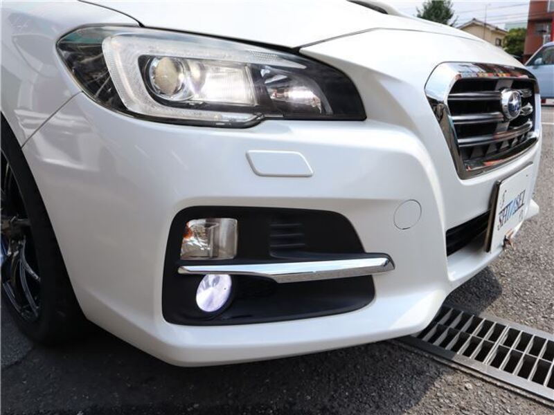 LEVORG