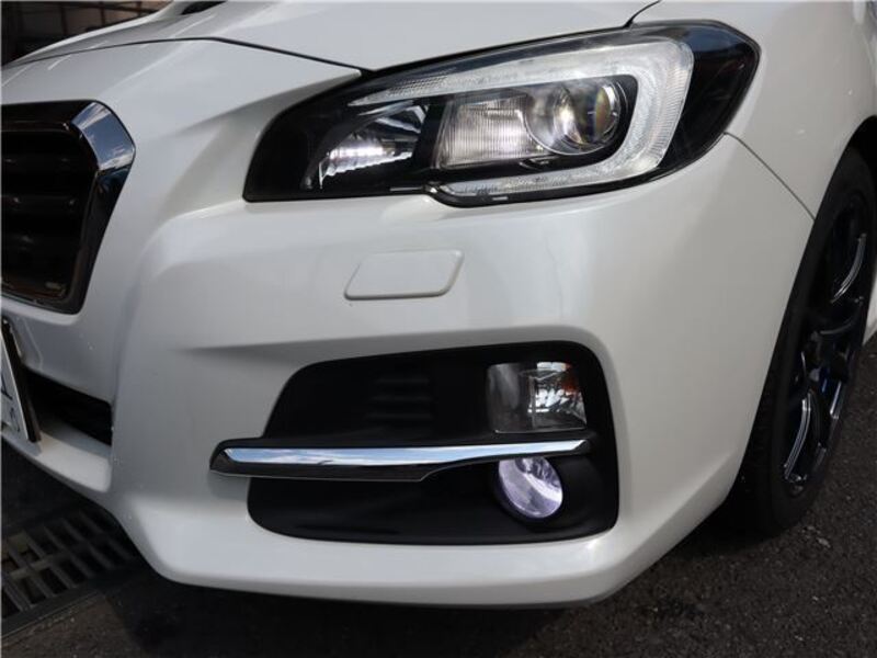 LEVORG