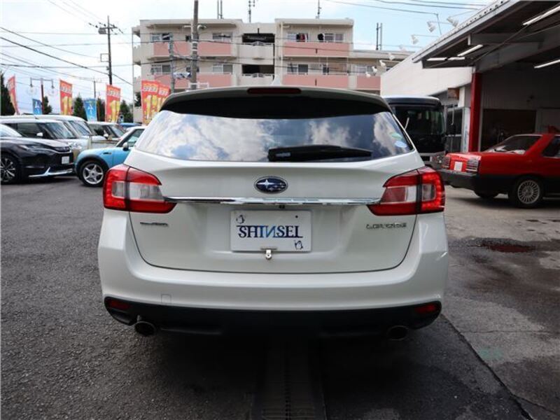 LEVORG