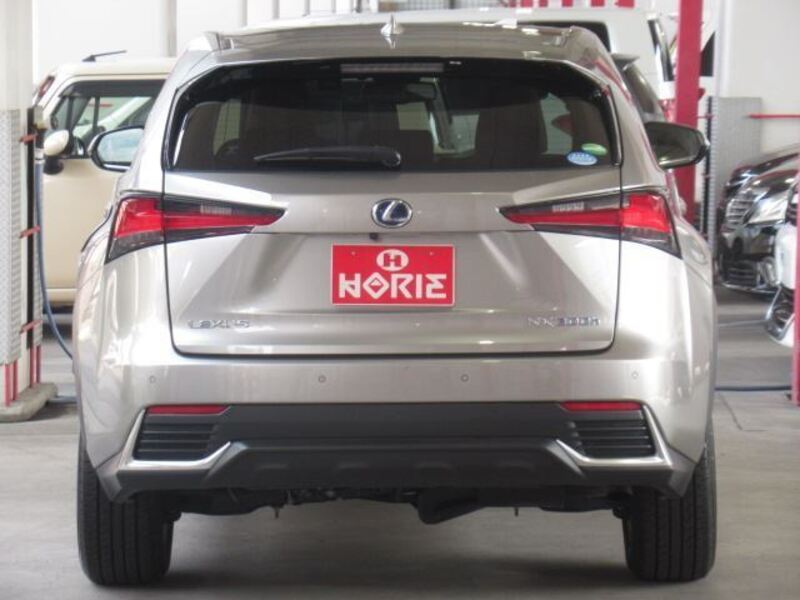 NX