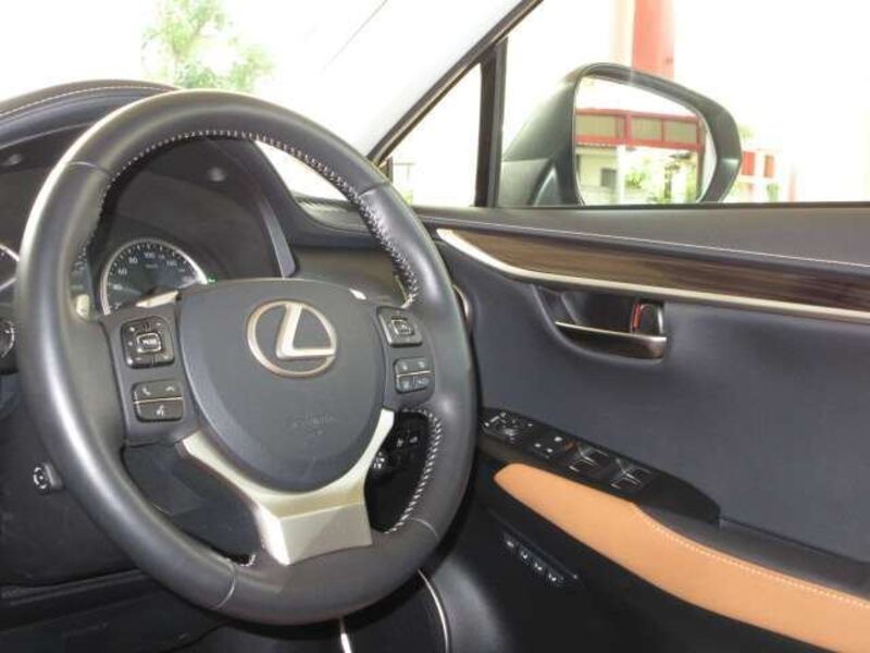 NX