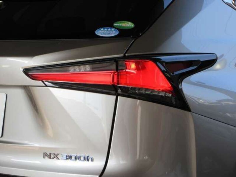 NX