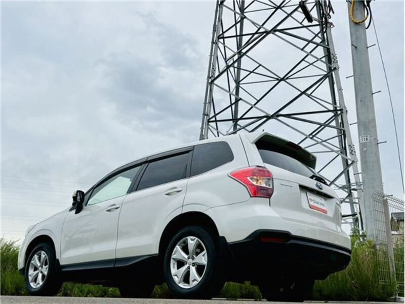 FORESTER