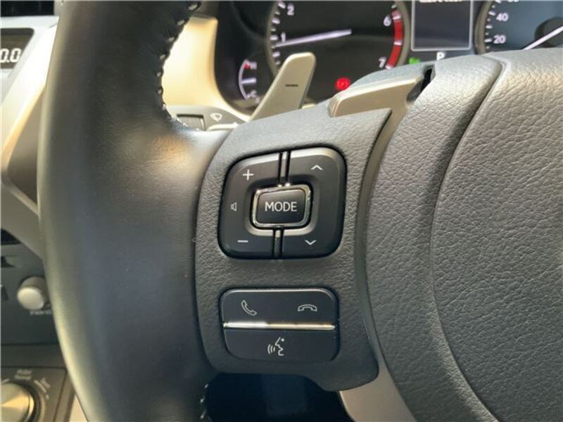 NX