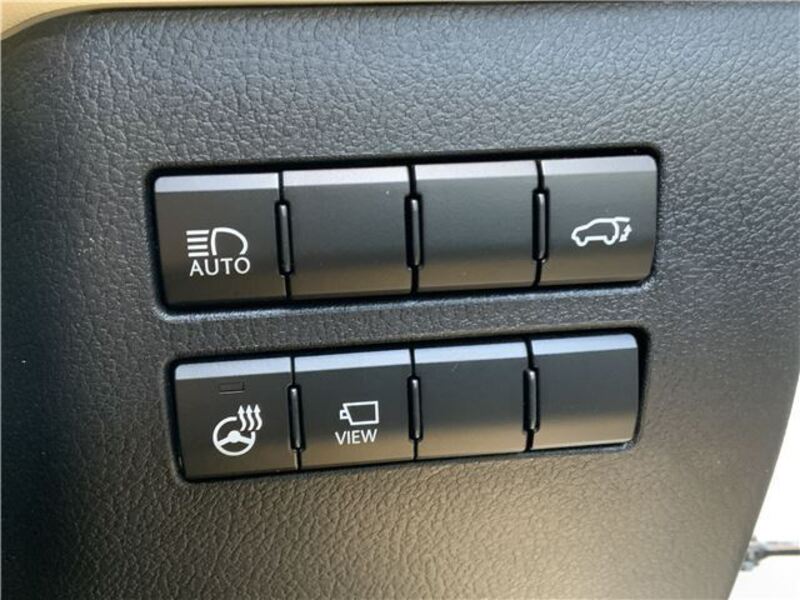 NX