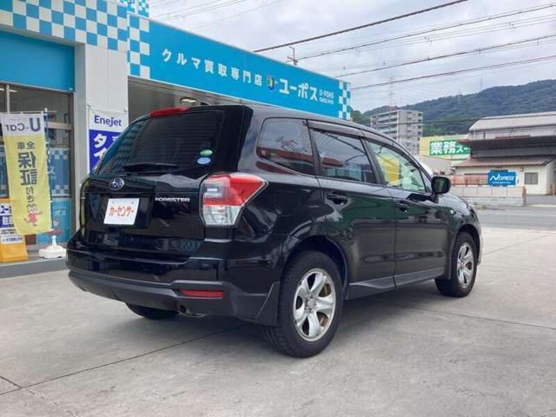 FORESTER