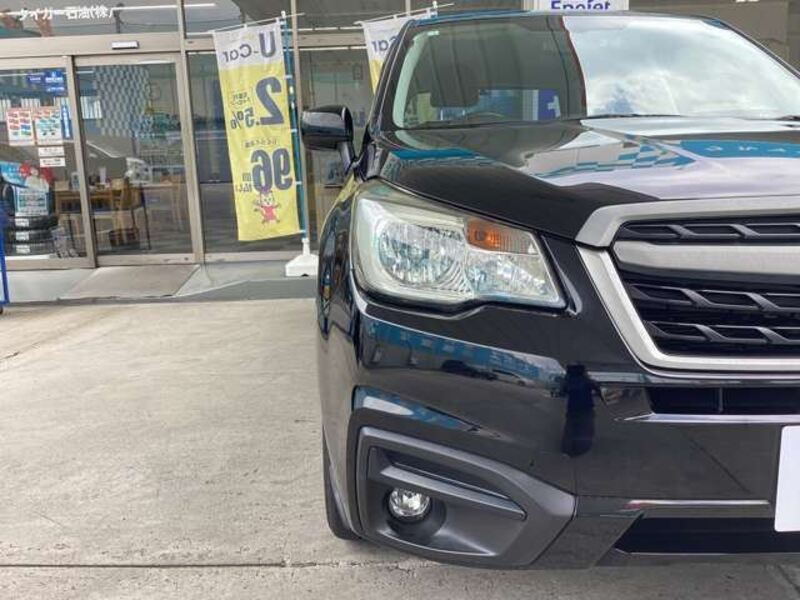 FORESTER