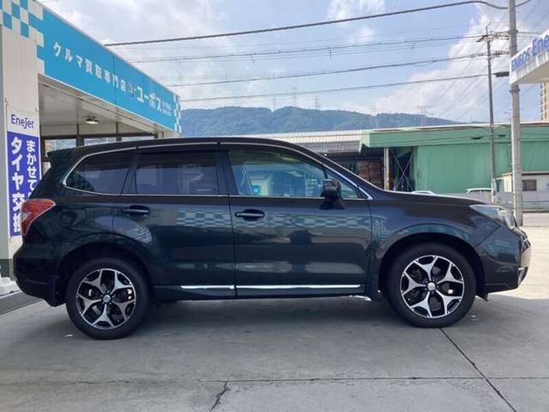 FORESTER