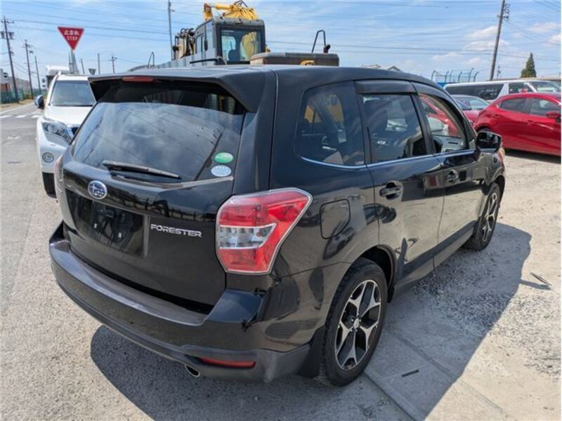FORESTER