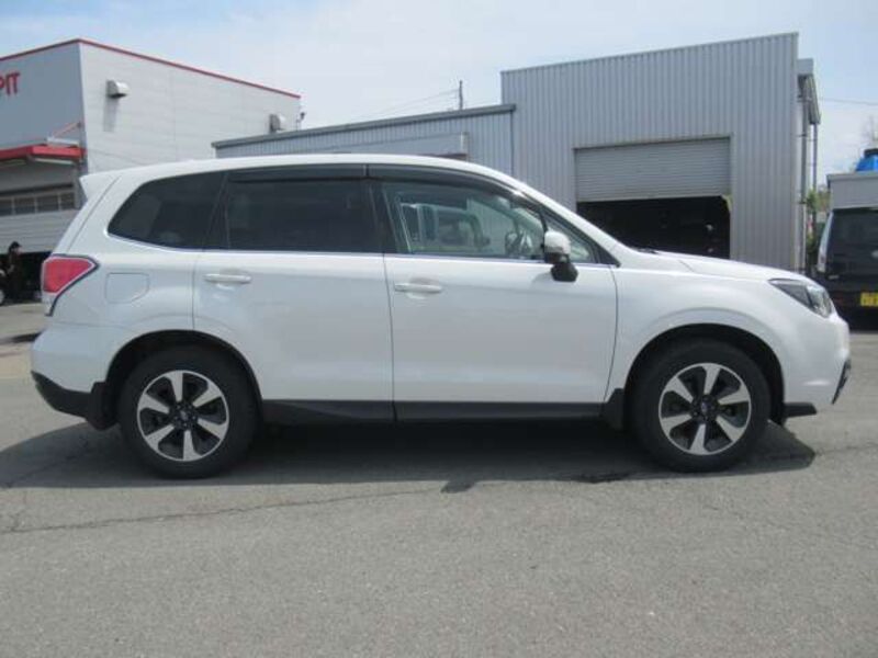 FORESTER