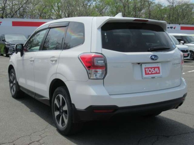 FORESTER