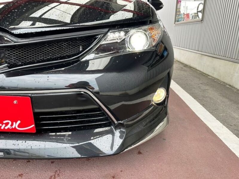 AURIS