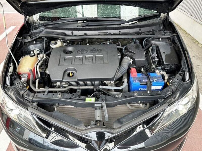 AURIS