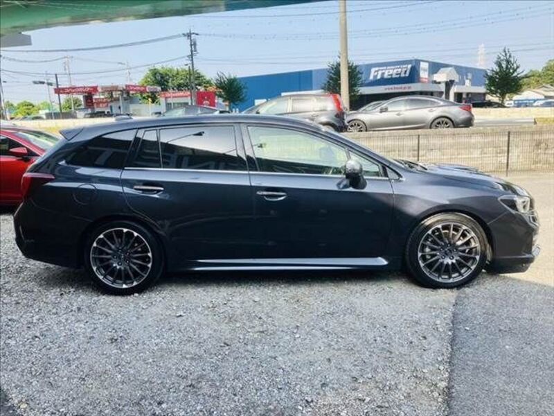 LEVORG