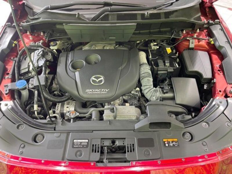 CX-8
