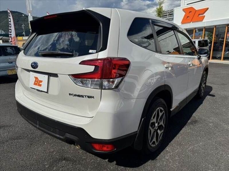 FORESTER