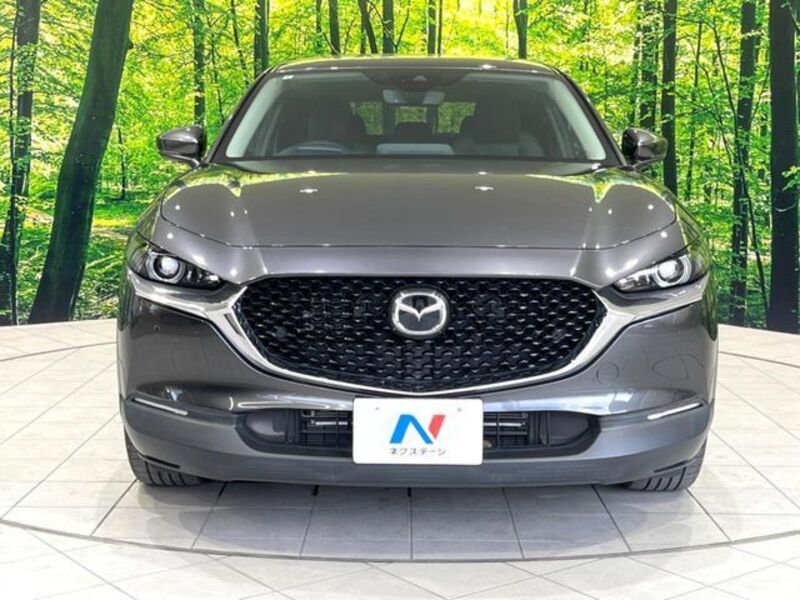 CX-30