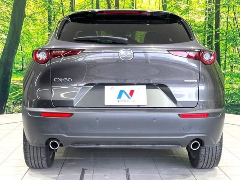 CX-30