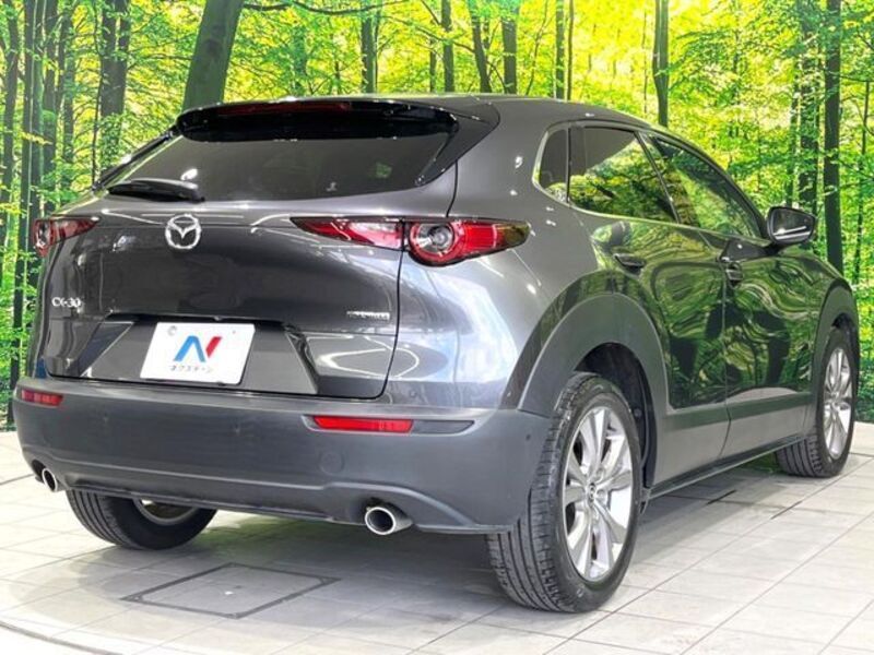 CX-30