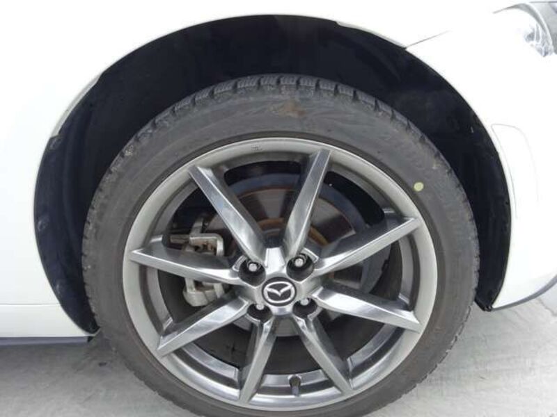 ROADSTER RF