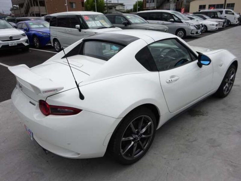 ROADSTER RF